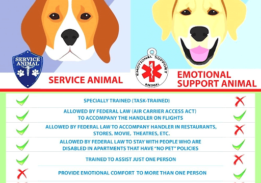 Among us service dog gear  Service dogs gear, Service dogs, Psychiatric  service dog