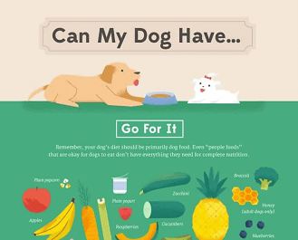 does the brat diet work for dogs