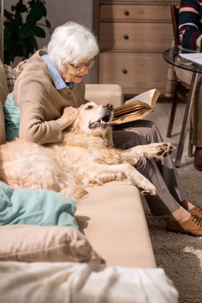 Buying an best sale emotional support dog